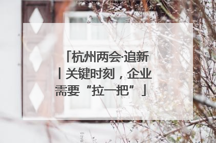 杭州两会·追新丨关键时刻，企业需要“拉一把”