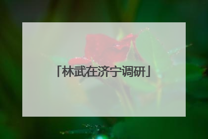 林武在济宁调研