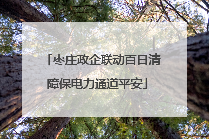 枣庄政企联动百日清障保电力通道平安