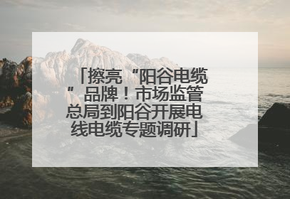 擦亮“阳谷电缆”品牌！市场监管总局到阳谷开展电线电缆专题调研