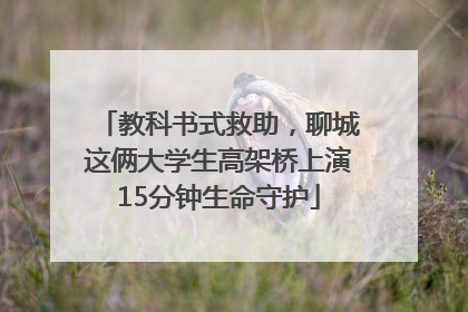教科书式救助，聊城这俩大学生高架桥上演15分钟生命守护