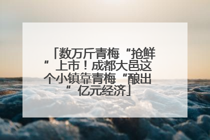 数万斤青梅“抢鲜”上市！成都大邑这个小镇靠青梅“酿出”亿元经济