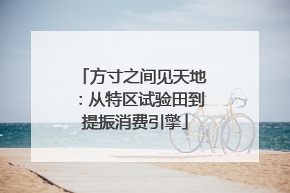 方寸之间见天地：从特区试验田到提振消费引擎