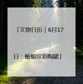 文物日历｜6月17日：蜥蜴纹彩陶罐