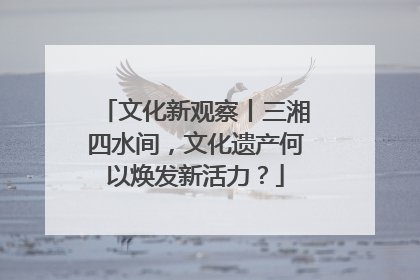 文化新观察丨三湘四水间，文化遗产何以焕发新活力？