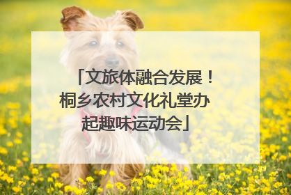 文旅体融合发展！桐乡农村文化礼堂办起趣味运动会