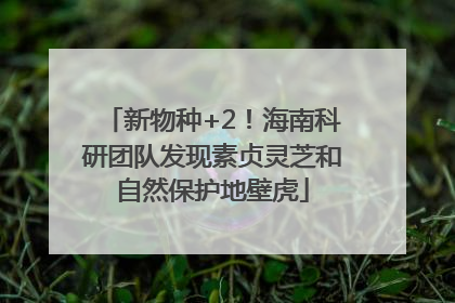 新物种+2!海南科研团队发现素贞灵芝和自然保护地壁虎