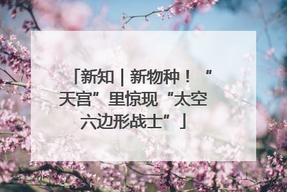 新知｜新物种！“天宫”里惊现“太空六边形战士”