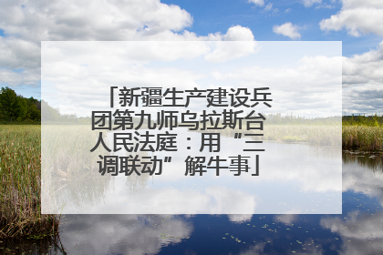 新疆生产建设兵团第九师乌拉斯台人民法庭：用“三调联动”解牛事