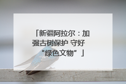 新疆阿拉尔：加强古树保护 守好“绿色文物”