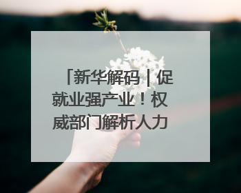新华解码｜促就业强产业！权威部门解析人力资源服务业与制造业融合发展试点