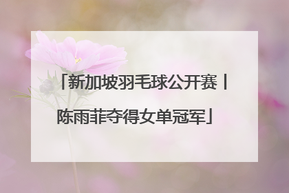 新加坡羽毛球公开赛丨陈雨菲夺得女单冠军