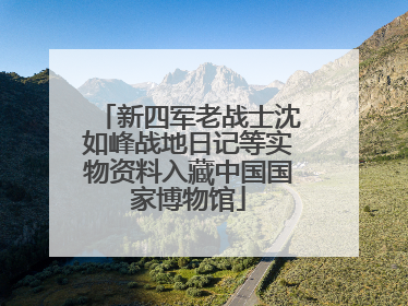 新四军老战士沈如峰战地日记等实物资料入藏中国国家博物馆
