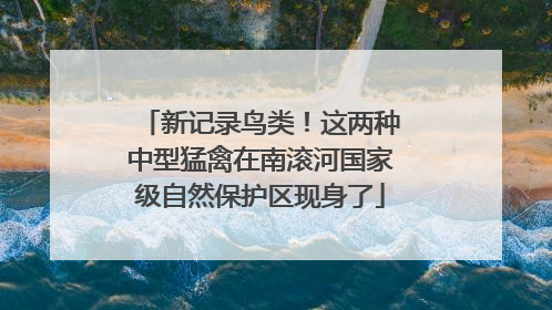 新记录鸟类！这两种中型猛禽在南滚河国家级自然保护区现身了