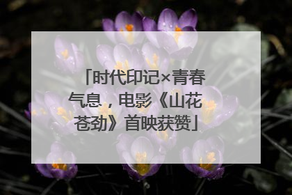 时代印记×青春气息，电影《山花苍劲》首映获赞