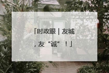 时政眼｜友城，友“诚”！