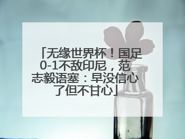 无缘世界杯！国足0-1不敌印尼，范志毅语塞：早没信心了但不甘心