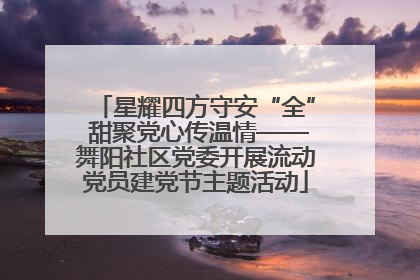 星耀四方守安“全” 甜聚党心传温情——舞阳社区党委开展流动党员建党节主题活动