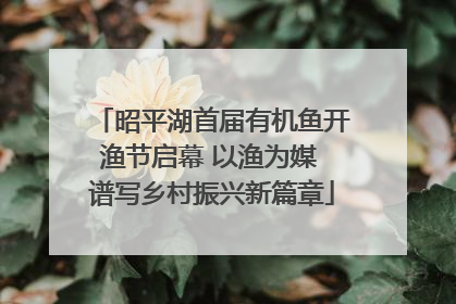 昭平湖首届有机鱼开渔节启幕 以渔为媒 谱写乡村振兴新篇章