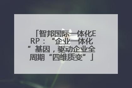 智邦国际一体化ERP：“企业一体化”基因，驱动企业全周期“四维质变”