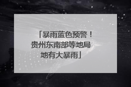 暴雨蓝色预警！贵州东南部等地局地有大暴雨