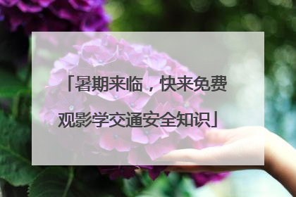 暑期来临，快来免费观影学交通安全知识