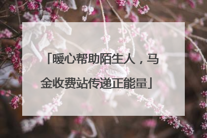 暖心帮助陌生人，马金收费站传递正能量