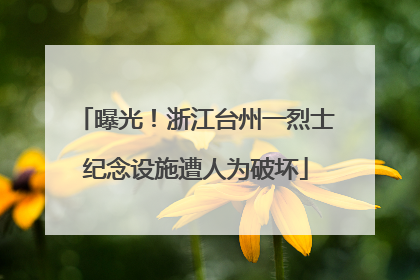 曝光！浙江台州一烈士纪念设施遭人为破坏