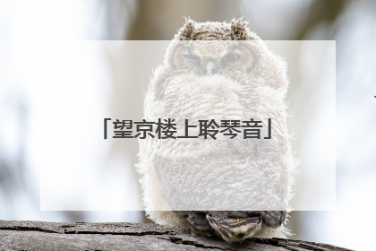 望京楼上聆琴音