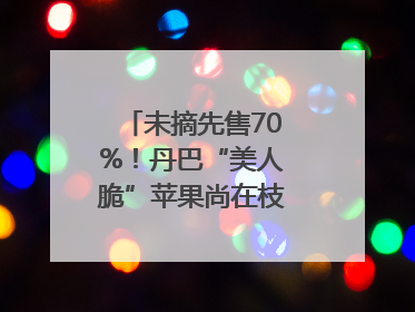 未摘先售70%！丹巴“美人脆”苹果尚在枝头就被预订｜长征路上看四川