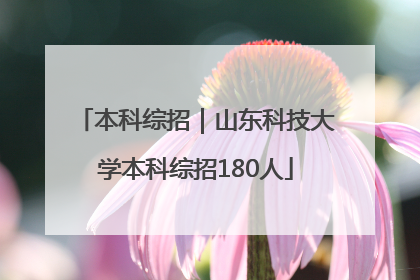 本科综招｜山东科技大学本科综招180人