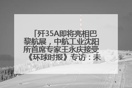 歼35A即将亮相巴黎航展，中航工业沈阳所首席专家王永庆接受《环球时报》专访：未来数量可以有很多
