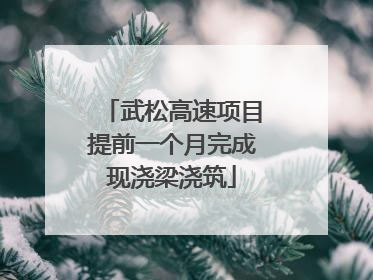 武松高速项目提前一个月完成现浇梁浇筑
