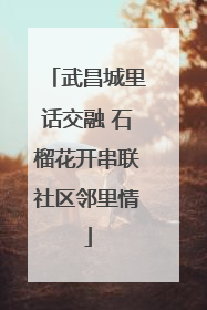 武昌城里话交融 石榴花开串联社区邻里情