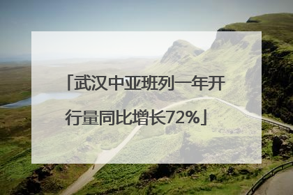 武汉中亚班列一年开行量同比增长72%