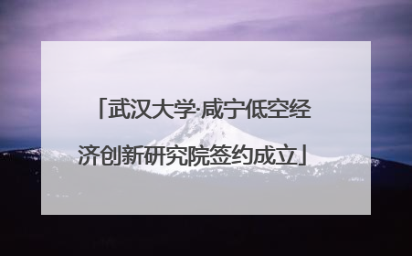 武汉大学·咸宁低空经济创新研究院签约成立