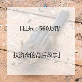 桂东：560万帮扶资金的背后故事