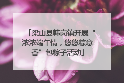梁山县韩岗镇开展“浓浓端午情，悠悠粽意香”包粽子活动