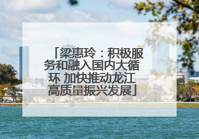 梁惠玲：积极服务和融入国内大循环 加快推动龙江高质量振兴发展