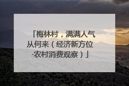 梅林村，满满人气从何来（经济新方位·农村消费观察）