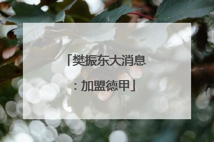 樊振东大消息：加盟德甲