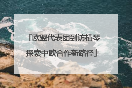 欧盟代表团到访横琴 探索中欧合作新路径