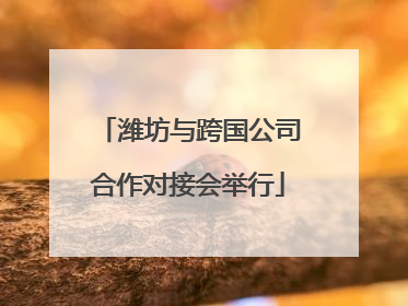 潍坊与跨国公司合作对接会举行