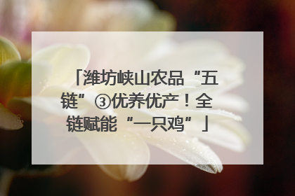 潍坊峡山农品“五链”③优养优产！全链赋能“一只鸡”