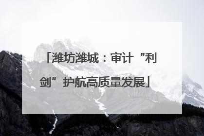 潍坊潍城：审计“利剑”护航高质量发展