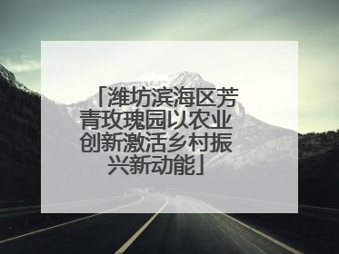 潍坊滨海区芳青玫瑰园以农业创新激活乡村振兴新动能