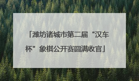 潍坊诸城市第二届“汉车杯”象棋公开赛圆满收官