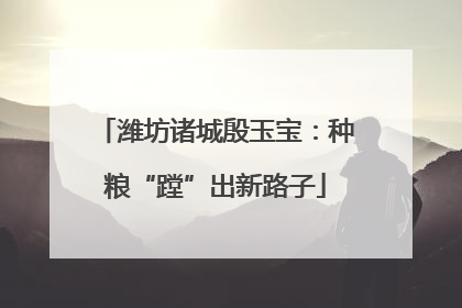潍坊诸城殷玉宝：种粮“蹚”出新路子