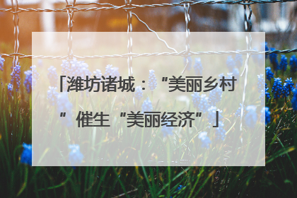 潍坊诸城：“美丽乡村”催生“美丽经济”