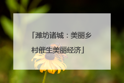 潍坊诸城：美丽乡村催生美丽经济